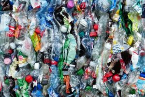 plástico, poluição, inovação, indústria, blue benu, poluição, ambiente, ecosistema, sustentabilidade
