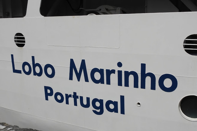 À chegada ao Funchal o navio ostentava o nome de porto de registo Portugal, em substituição de Madeira(imagem Sérgio Ferreira CEN)